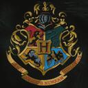 Hogwarts School of W&W Discord Server Icon