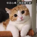 嗯哼