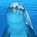 そんなの…いるか…！