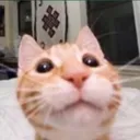I have no friends