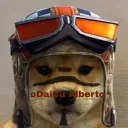 SPECIALIST COMUNITY