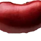 Beanfest