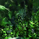 Kodama's Geisterwald