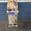 skaters of north america