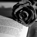 Roses And Thorns Book Club