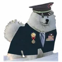Borker's Gym