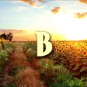 ВЕСЕЛА ПОЛЯNА