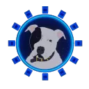 BullseyeSBT & Foxunitone