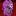 The Wasteland's icon