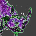 Rynovia (archive)
