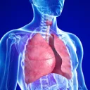 Lung Hub