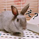 ましろん帝国
