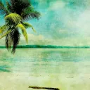 The Beach