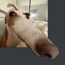 The Time Has Come...Let The Server Rest