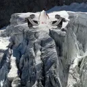 Penguins igloo