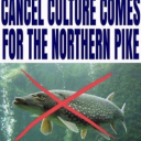 UNDERWATER Fish gang Discord server icon