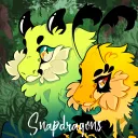 Snapdragons