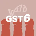 GST6