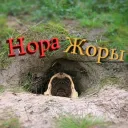 Нора Жоры