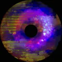 Doughnuts Space