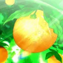 Meet SUIIIIrange🍊