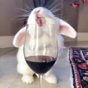 Heoo