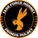Task Force Hornet