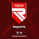 Los Rejuntados Esports