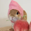 Peepo Party