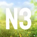 N3