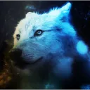 🐺 🇫 🇦 🇷 🇰 🇦 🇸 🐺