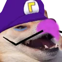 RyanDCB Streams