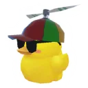 Duck Race