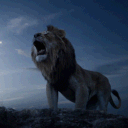 LionHeartz Community🦁