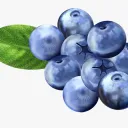 The Blueberry Patch