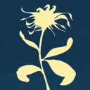【休止】秋菊の四君子【公開サーバー】