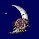 Luna's Rose Garden