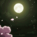 ☾ ' moonlight night