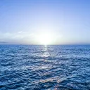 THE SEA