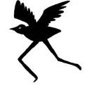 Crows Den