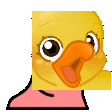 𝐓𝐡𝐞 𝐂𝐨𝐧𝐝𝐢𝐦𝐞𝐧𝐭𝐚𝐥