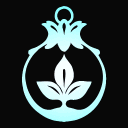 BDO Shai Discord