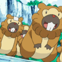 Bidoof Den