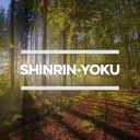 🌿SHINRIN YOKU 🌿 ....