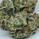 Smokers Chat(18+ ONLY)