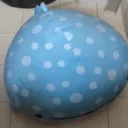 Desu Land