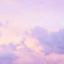 🦋🦋🦋
