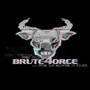 Brute4orce