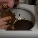 Shit-Eaters Anonymous