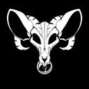 Pirates of the Never Ever Discord Server Icon